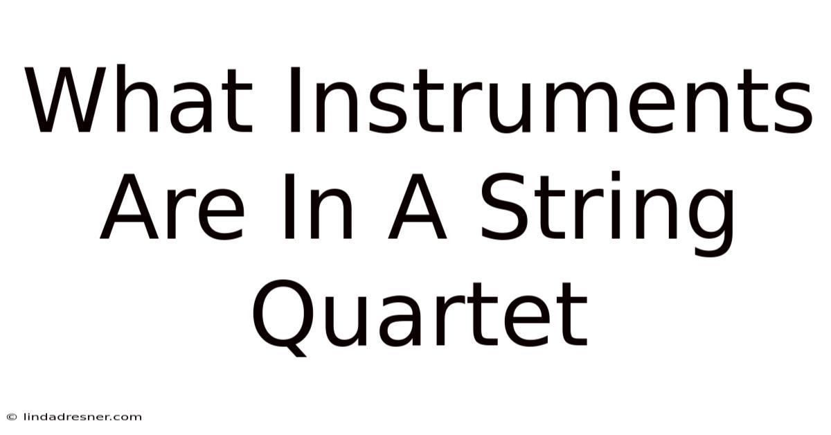 What Instruments Are In A String Quartet