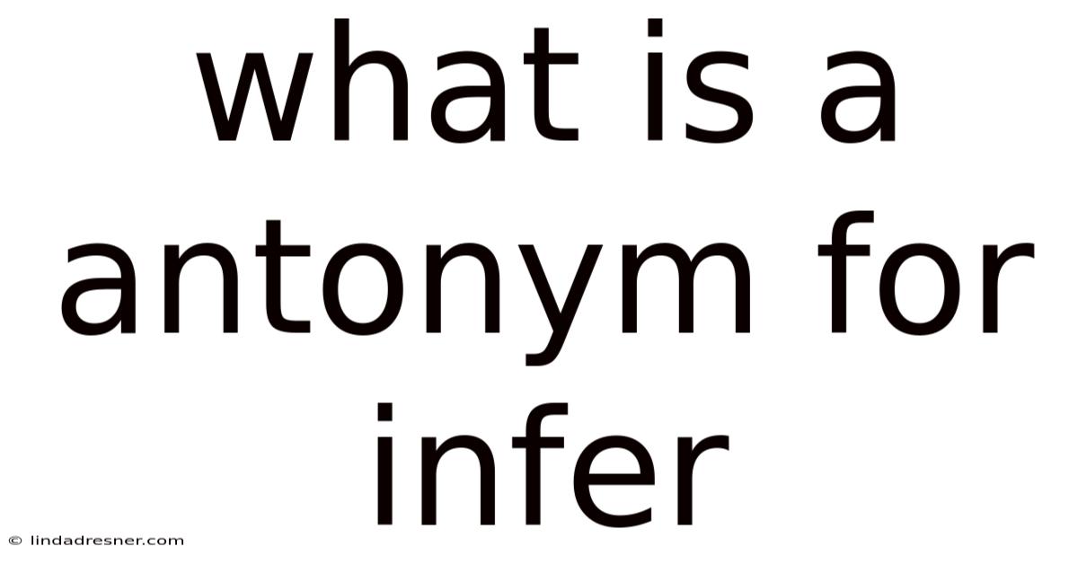 What Is A Antonym For Infer