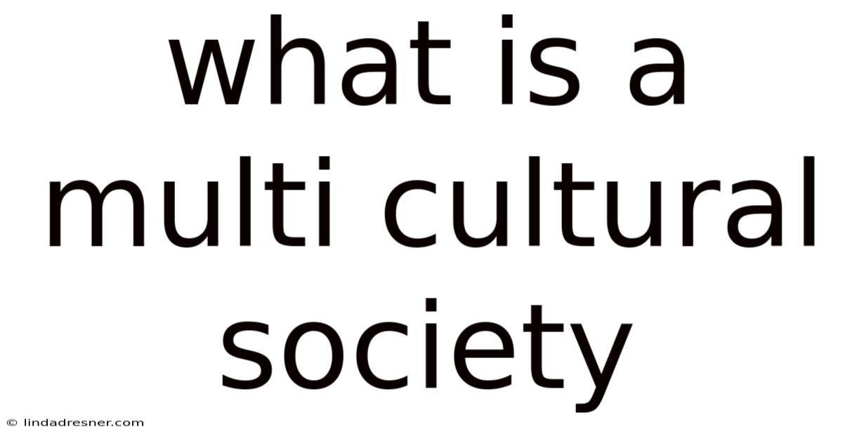 What Is A Multi Cultural Society