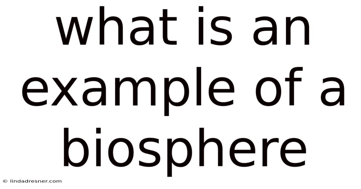 What Is An Example Of A Biosphere