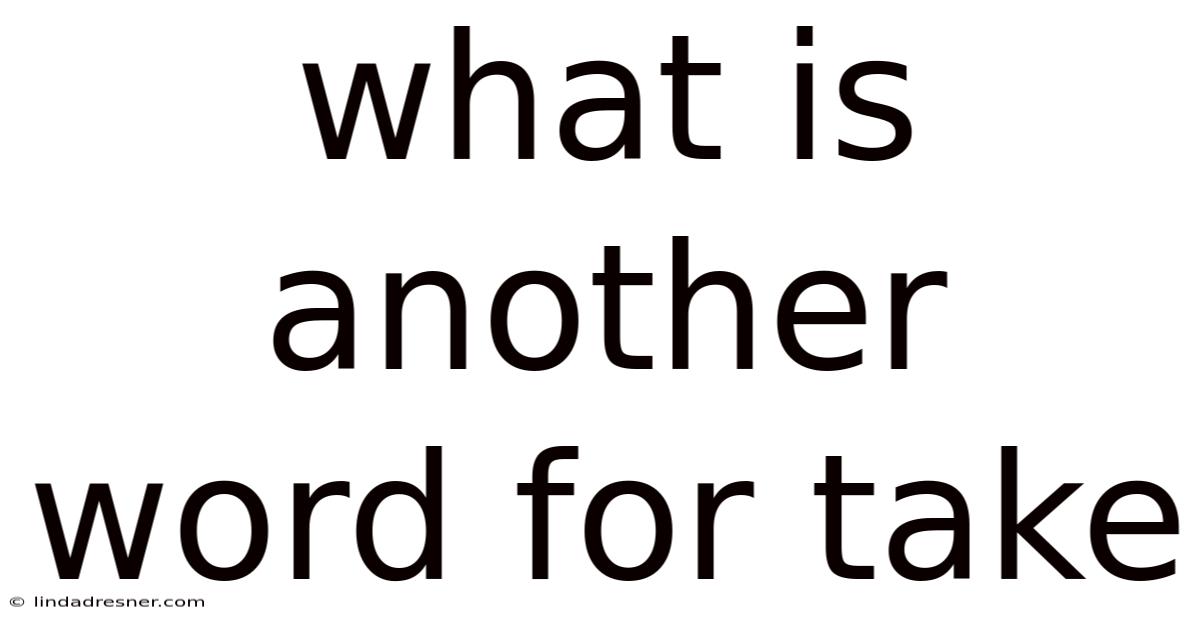What Is Another Word For Take