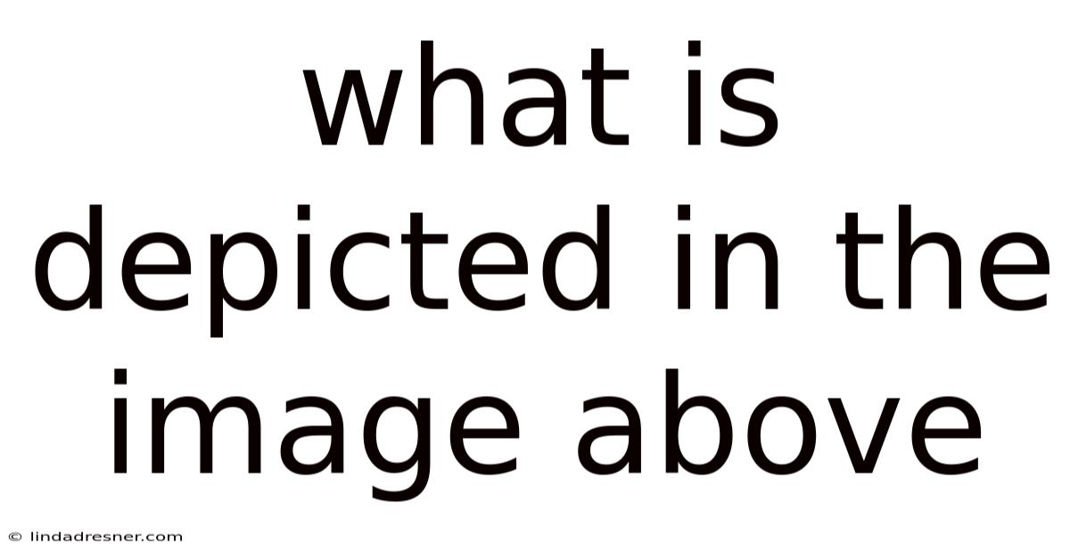 What Is Depicted In The Image Above