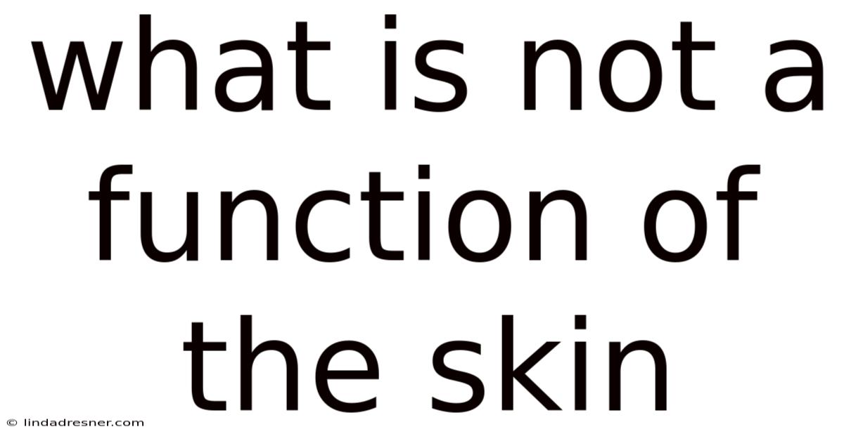 What Is Not A Function Of The Skin