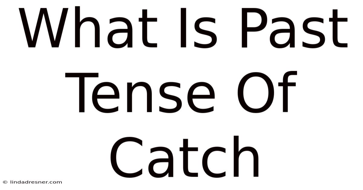 What Is Past Tense Of Catch