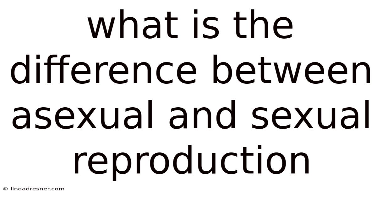 What Is The Difference Between Asexual And Sexual Reproduction