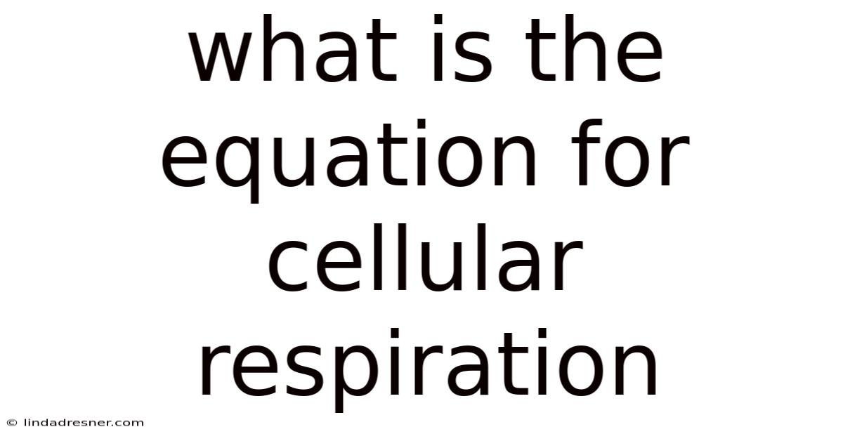 What Is The Equation For Cellular Respiration