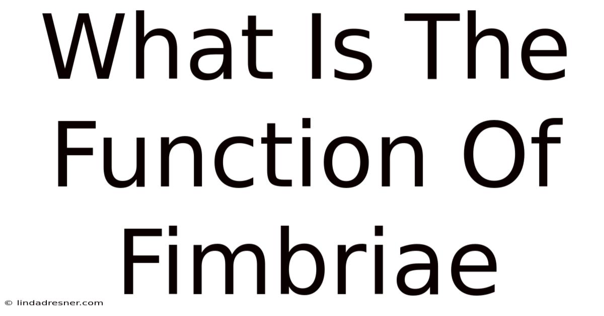 What Is The Function Of Fimbriae