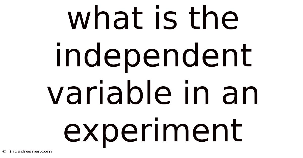What Is The Independent Variable In An Experiment