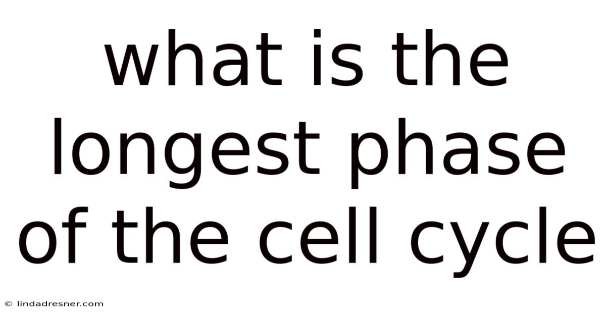 What Is The Longest Phase Of The Cell Cycle