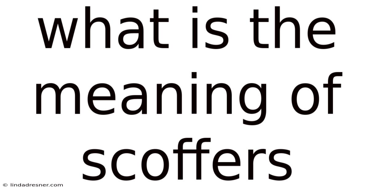 What Is The Meaning Of Scoffers