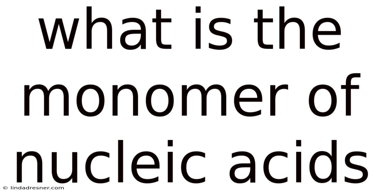 What Is The Monomer Of Nucleic Acids