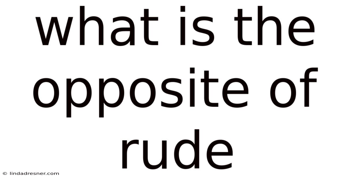 What Is The Opposite Of Rude