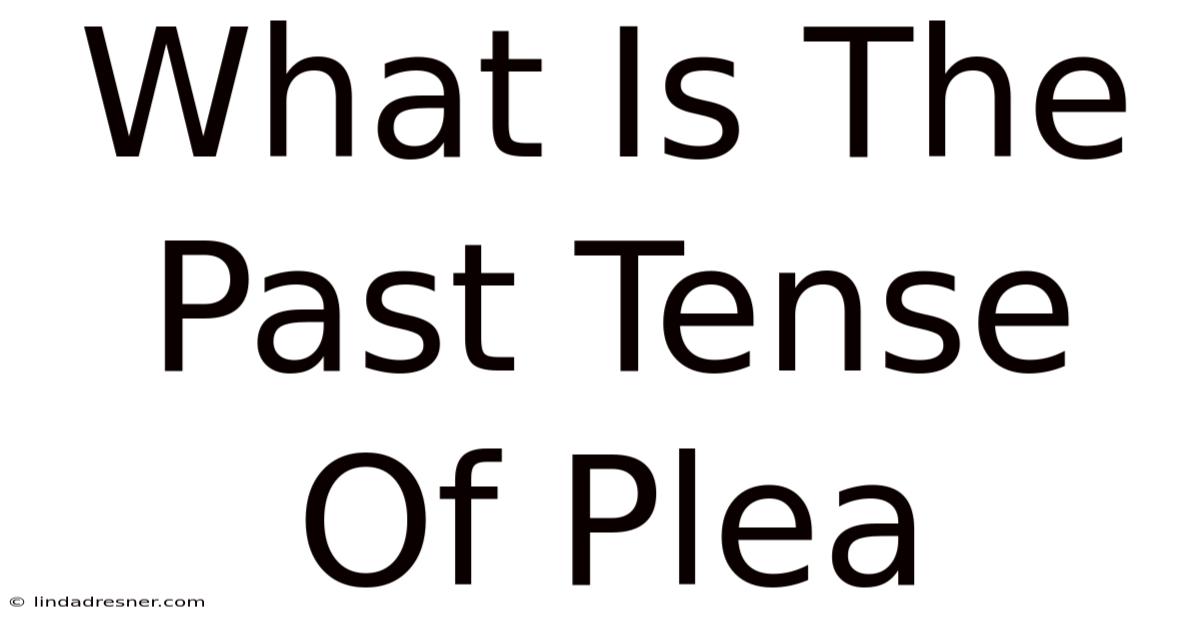 What Is The Past Tense Of Plea