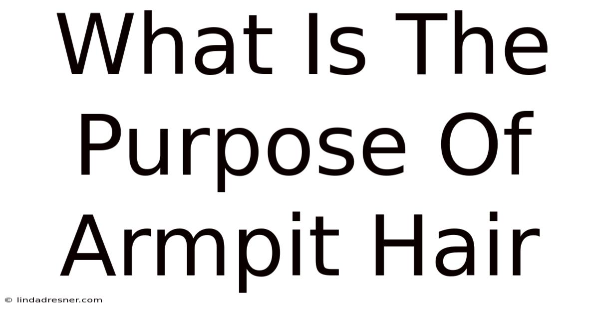 What Is The Purpose Of Armpit Hair