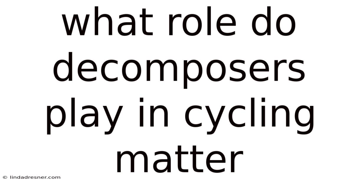 What Role Do Decomposers Play In Cycling Matter