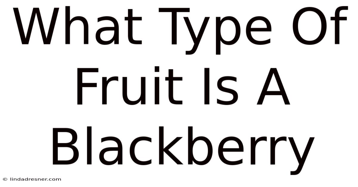 What Type Of Fruit Is A Blackberry
