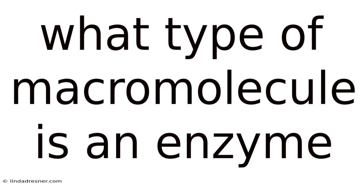 What Type Of Macromolecule Is An Enzyme