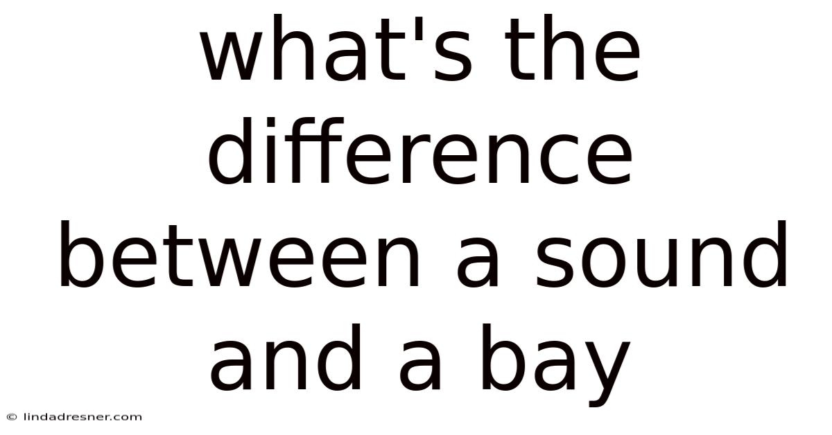 What's The Difference Between A Sound And A Bay