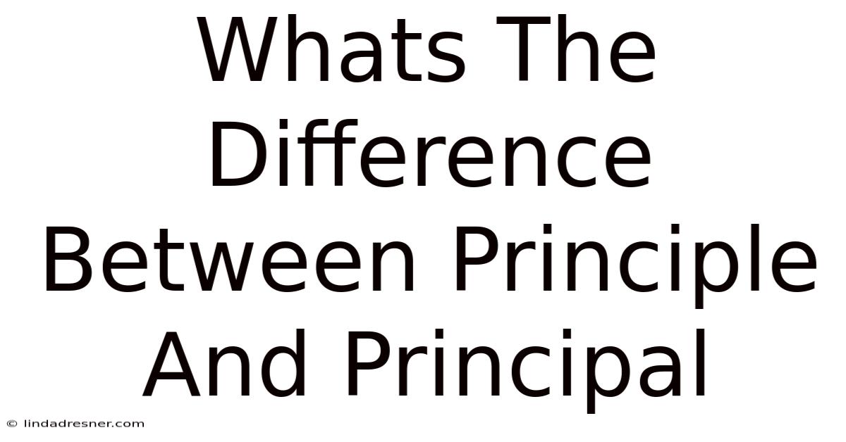 What's The Difference Between Principle And Principal