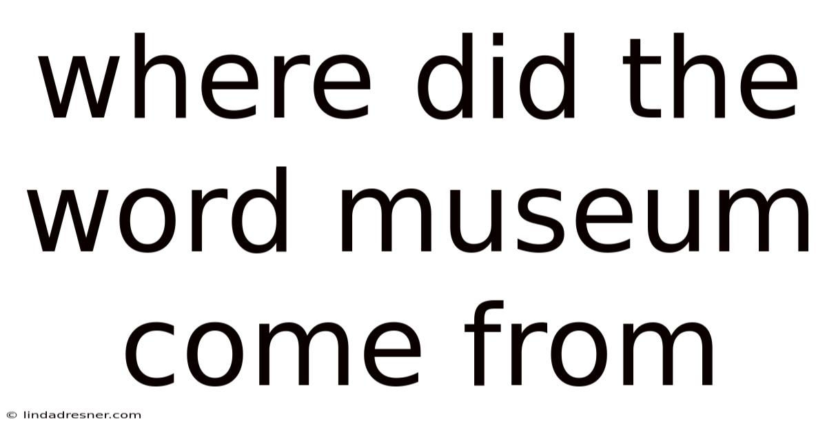 Where Did The Word Museum Come From