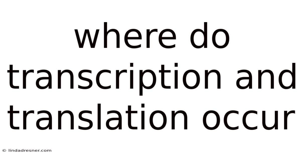Where Do Transcription And Translation Occur