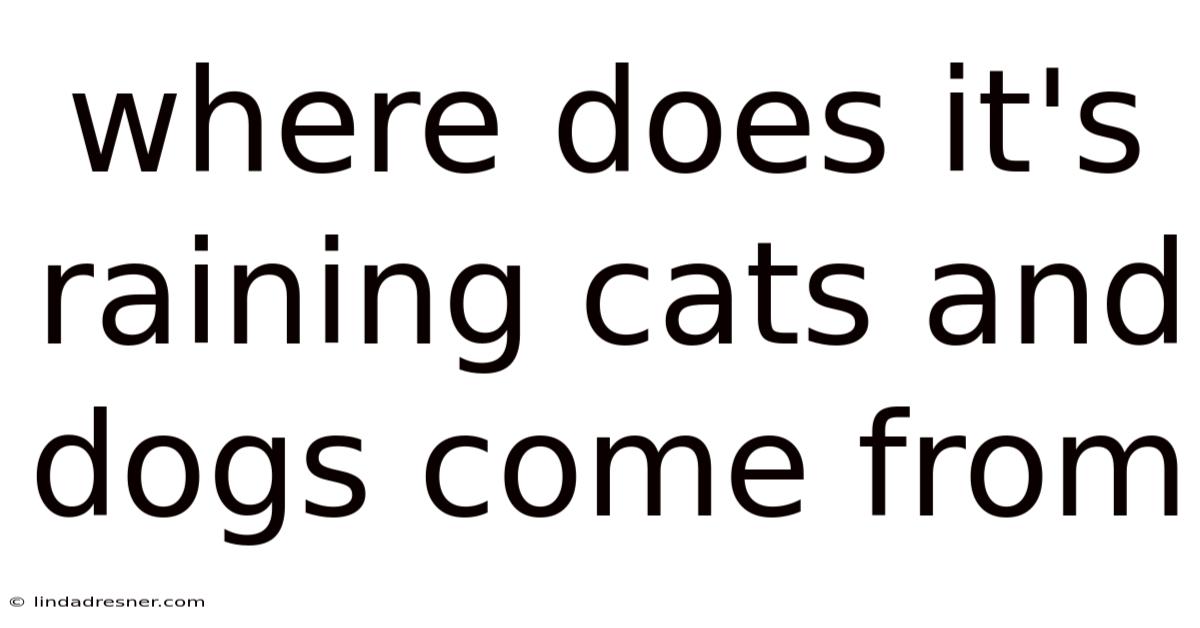 Where Does It's Raining Cats And Dogs Come From