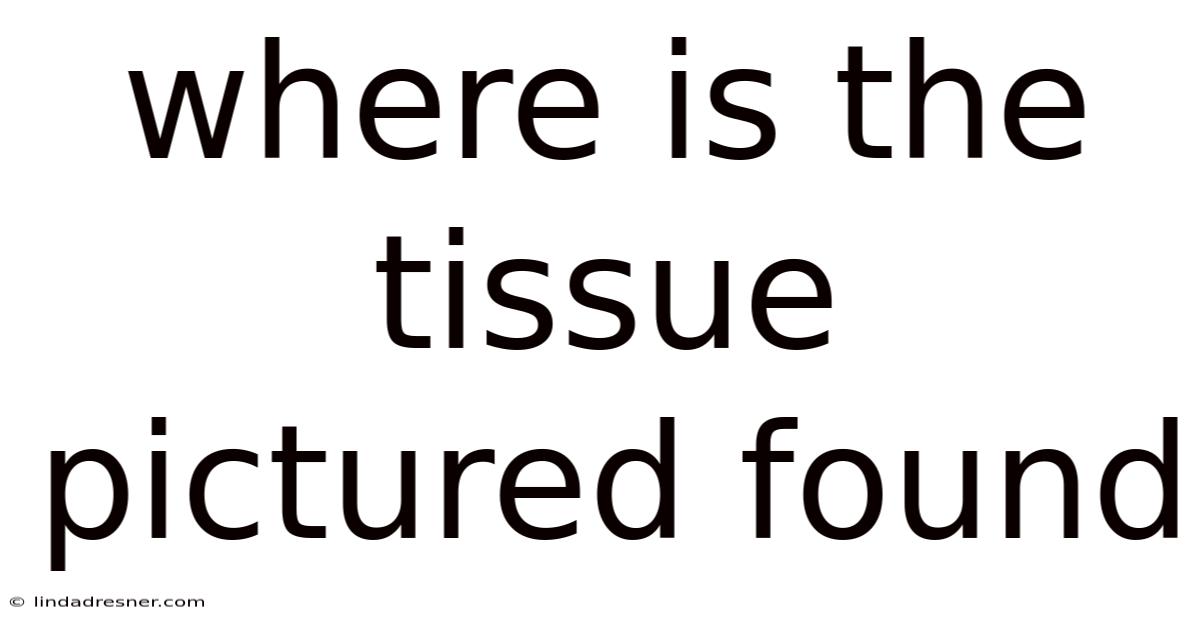 Where Is The Tissue Pictured Found