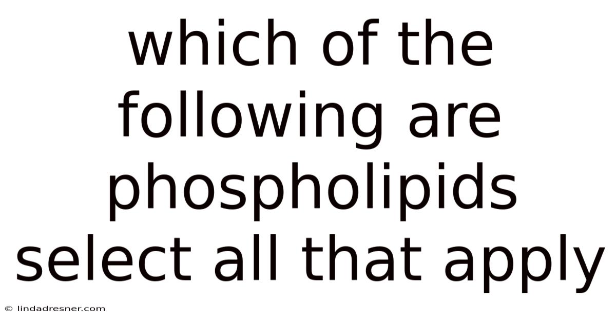 Which Of The Following Are Phospholipids Select All That Apply