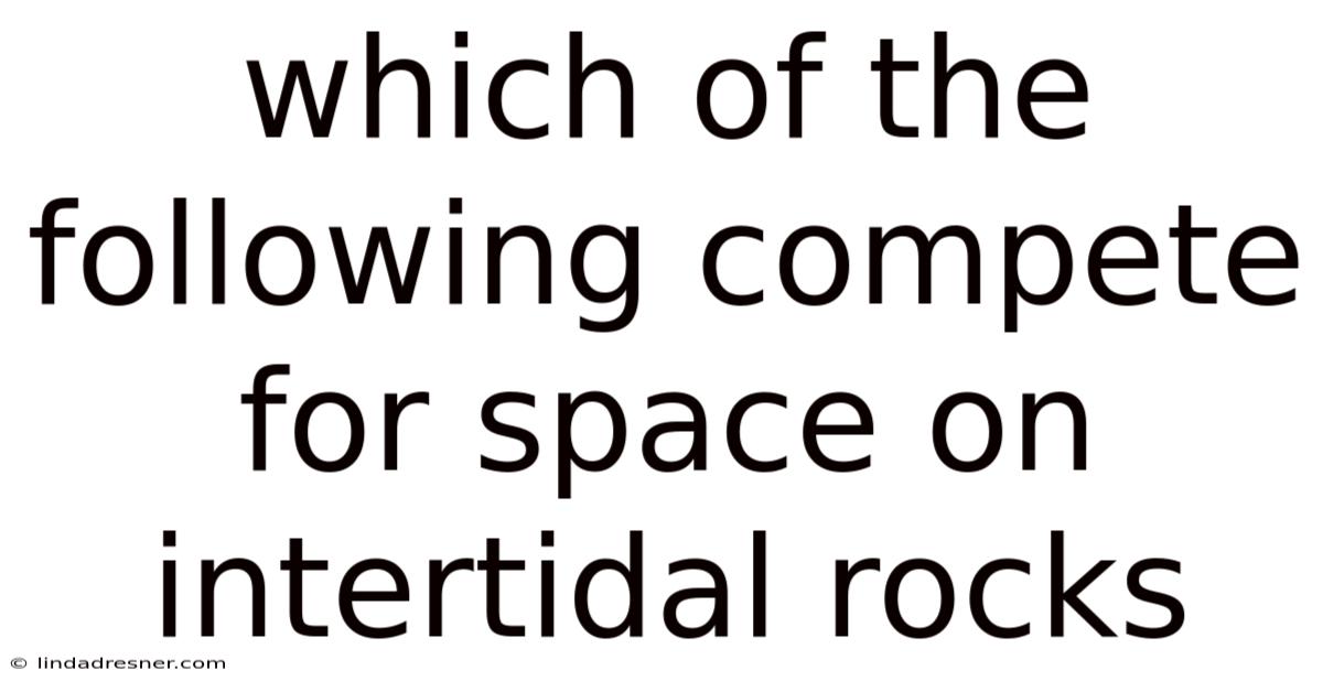 Which Of The Following Compete For Space On Intertidal Rocks