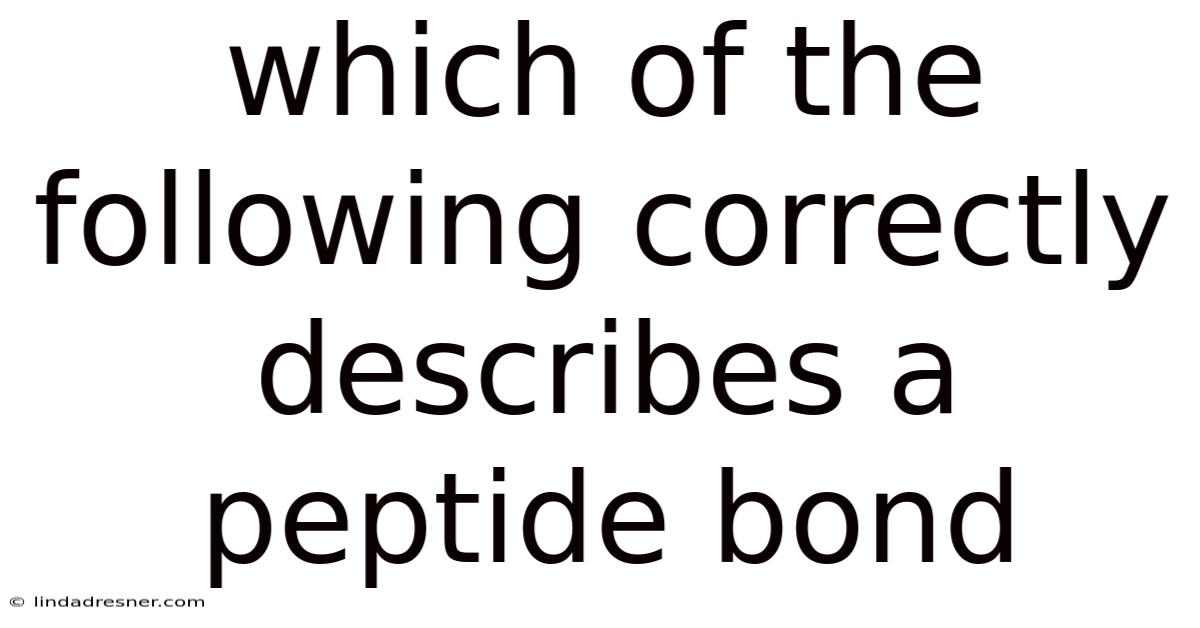 Which Of The Following Correctly Describes A Peptide Bond