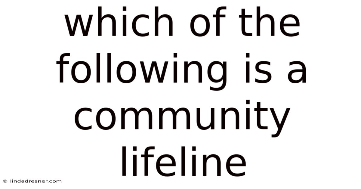 Which Of The Following Is A Community Lifeline