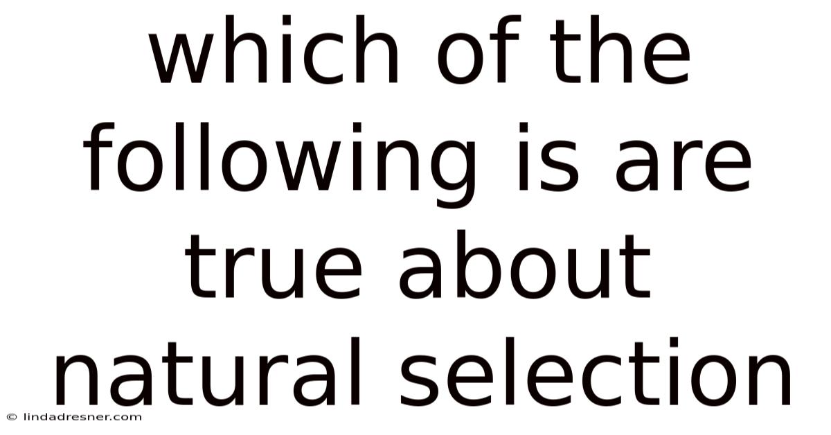Which Of The Following Is Are True About Natural Selection