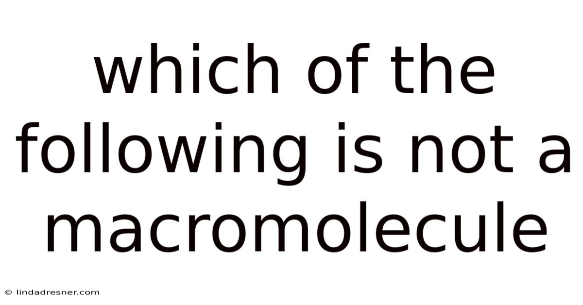 Which Of The Following Is Not A Macromolecule