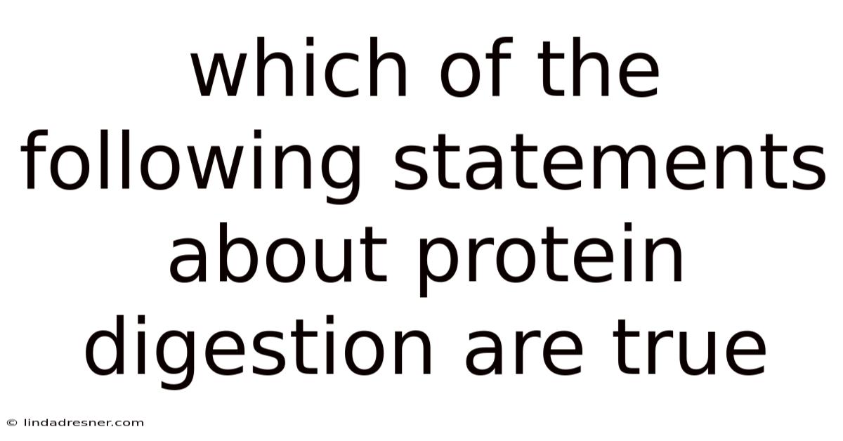 Which Of The Following Statements About Protein Digestion Are True