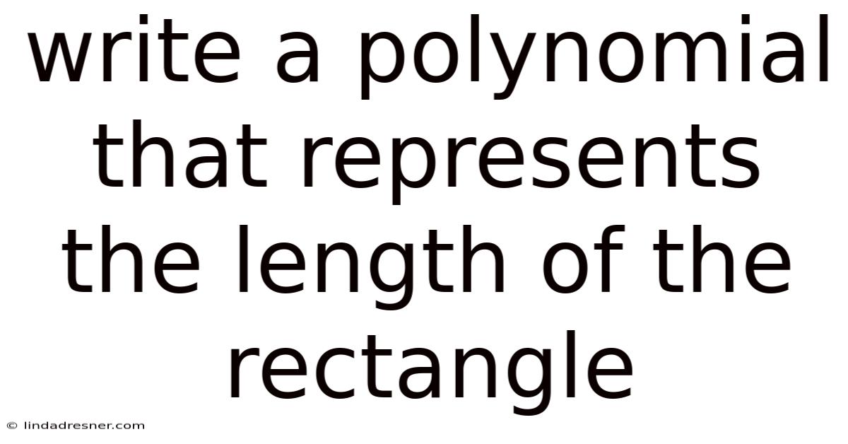 Write A Polynomial That Represents The Length Of The Rectangle