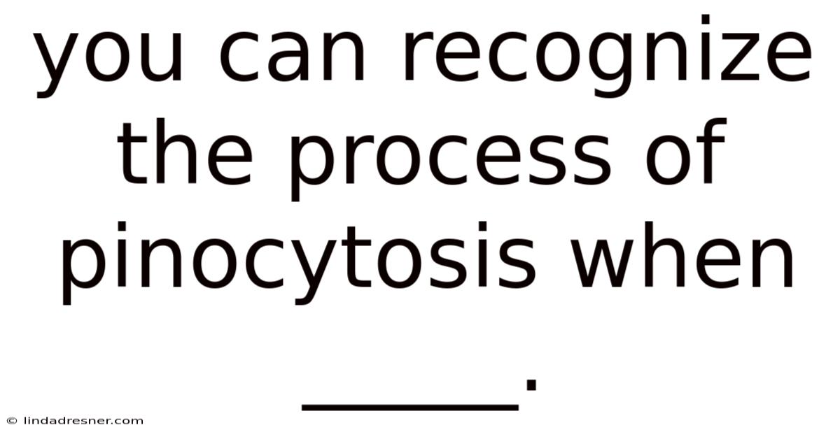You Can Recognize The Process Of Pinocytosis When _____.