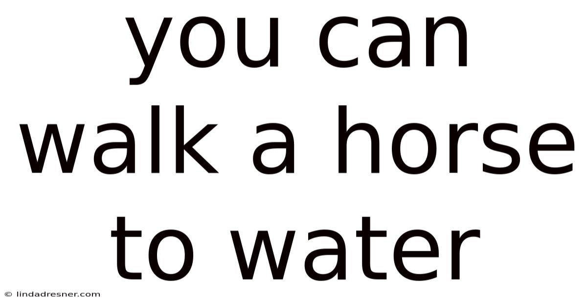 You Can Walk A Horse To Water