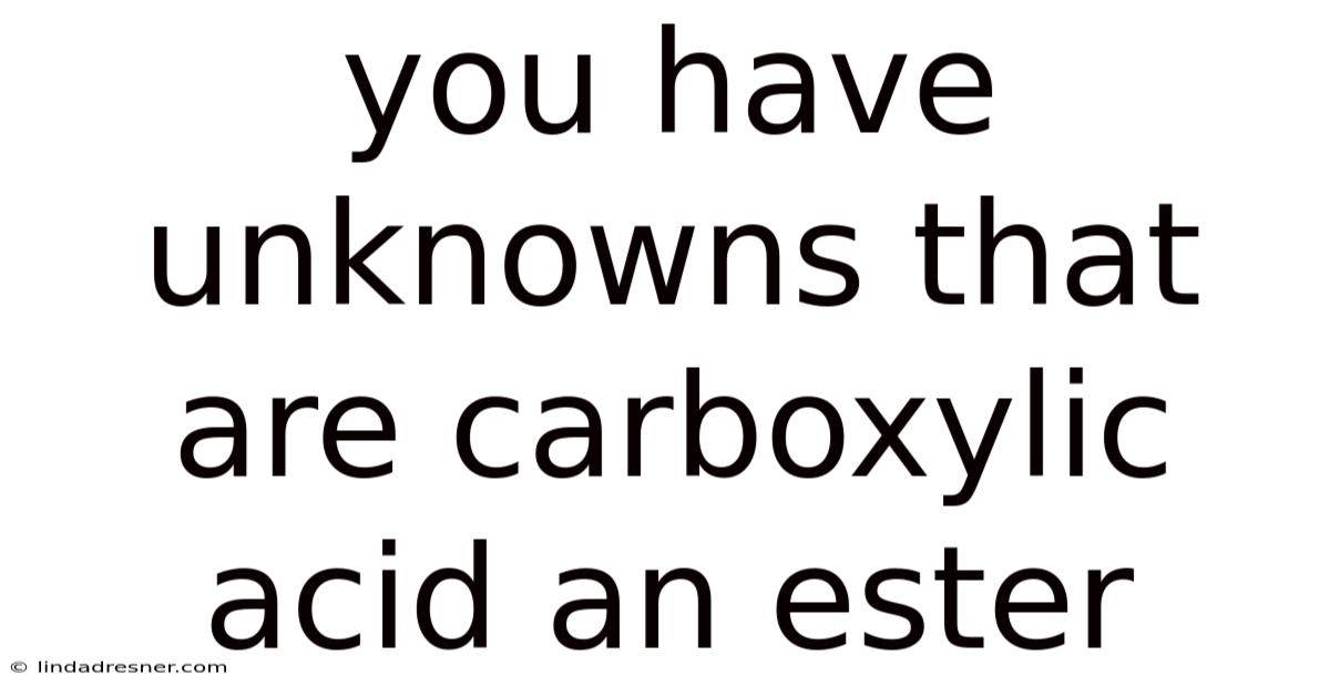 You Have Unknowns That Are Carboxylic Acid An Ester